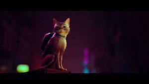 картинка игры Stray PS4 & PS5