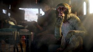 картинка игры Far Cry 4 + Far Cry Primal